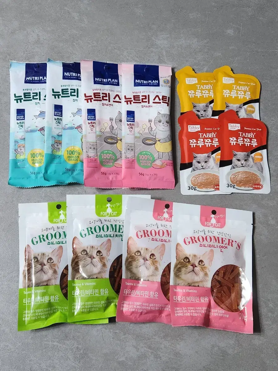 고양이 간식